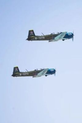Flying  CJ6 civilian training plane model