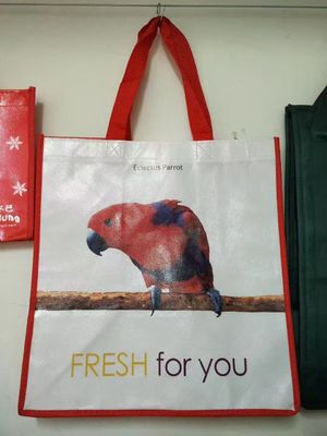 Recycle Non Woven Fabric Bag for Shopping,Custom Eco Friendly Reusable Shopping Bag,Custom Printed Grocery Tote Bags With Logo
