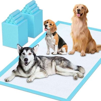 Wholesale Hygiene Sleeping Pads for Pets Puppy Toilet Mat Diaper for Dogs Super Absorbent Disposable Breathable Leak Proof
