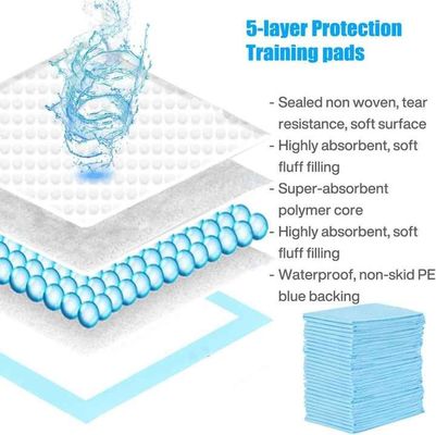China Wholesale Dog Pet Training Pads Diaper Disposable Pet Products Carbon Activator Biodegradable Pee Pads Thick