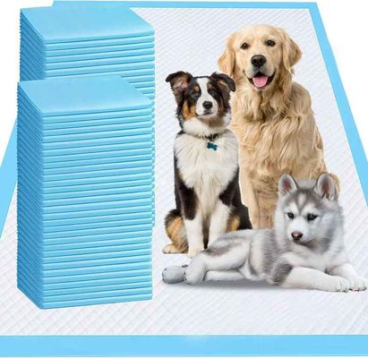 China Wholesale Dog Pet Training Pads Diaper Disposable Pet Products Carbon Activator Biodegradable Pee Pads Thick