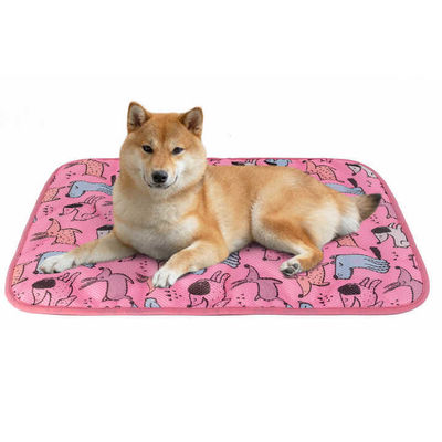 Summer Cooling Latex Pet Mat PVC and Nylon Cat and Dog Sleeping Bed with Ice Silk Cool Feature Animal Pattern Pet Supplies