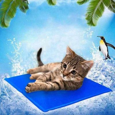 Summer Cooling Latex Pet Mat PVC and Nylon Cat and Dog Sleeping Bed with Ice Silk Cool Feature Animal Pattern Pet Supplies
