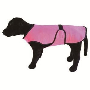 Spring Summer Dogs Cooling Harness Coat Clothes Ice Shreds Material With Traction Rope Pet Cooling Vest Jacket for Dogs
